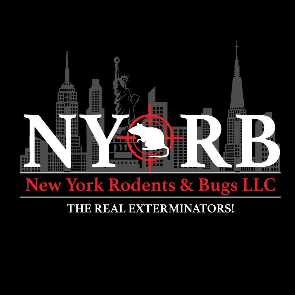 New York Rodents & Bugs LLC
