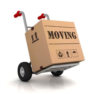 Avatar for Perfect Moving
