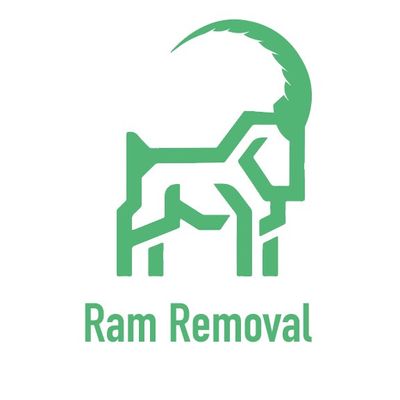 Avatar for Ram Removal