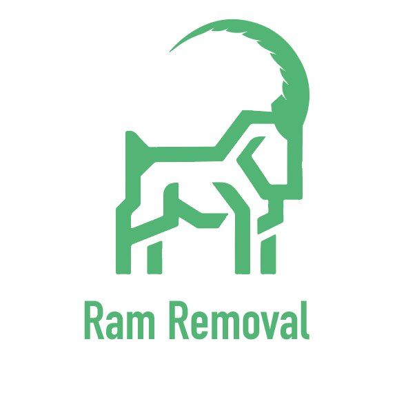 Ram Removal