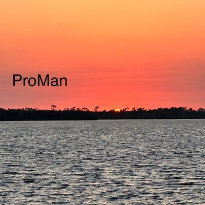 Avatar for ProMan