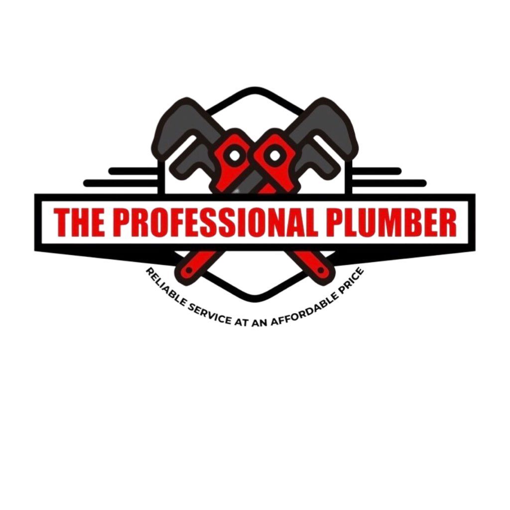 The Professional Plumber LLC
