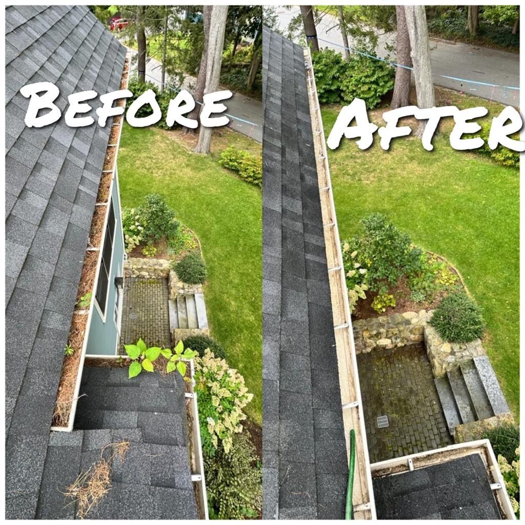 Gutter Cleaning and Maintenance