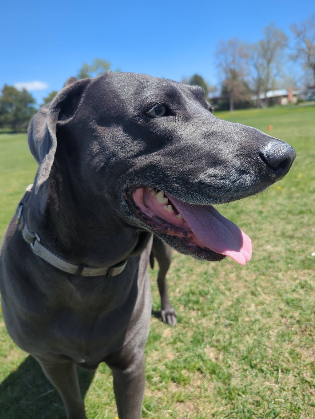 One of our beautiful Furiends enjoying the sunshin