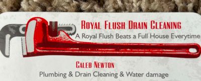 Avatar for Royal Flush Drain Cleaning & Services