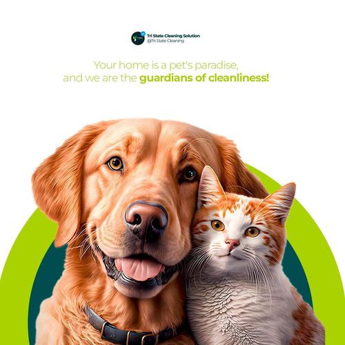 We treat your furry friends with care and respect.
