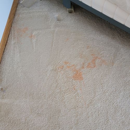 Carpet Cleaning