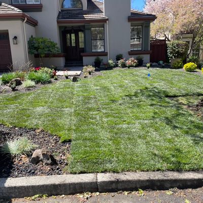 Local Gardener Near Me La Mirada thumbnail
