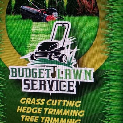 Avatar for Budget lawn service