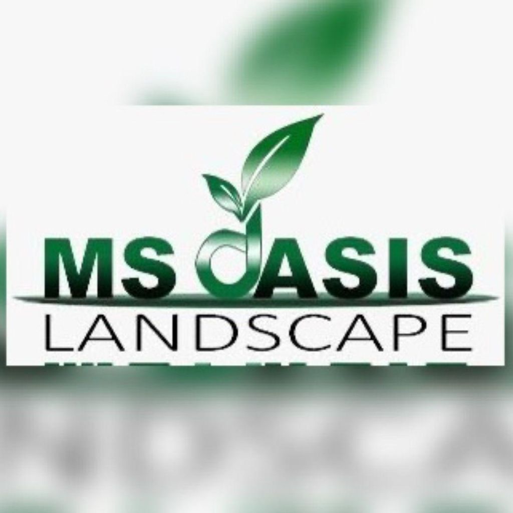 MS Oasis Landscape