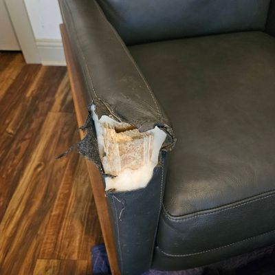Avatar for Abeve Upholstery & Repair