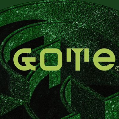 Avatar for GOTE Remodeling and Construction