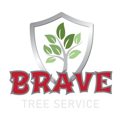 Avatar for BRAVE TREE SERVICE LLC