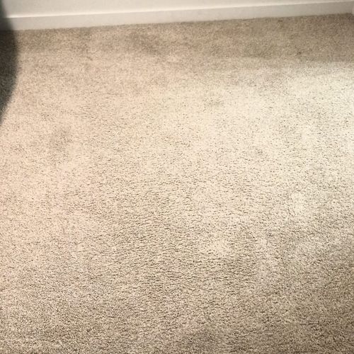 Carpet Cleaning