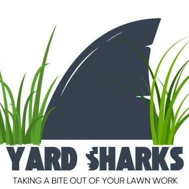 Yard Sharks