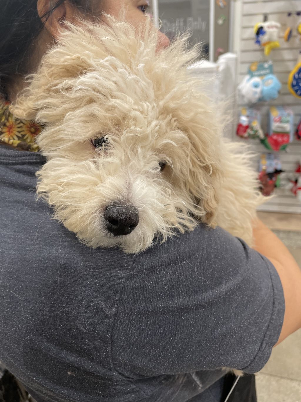 Meet Charlie 