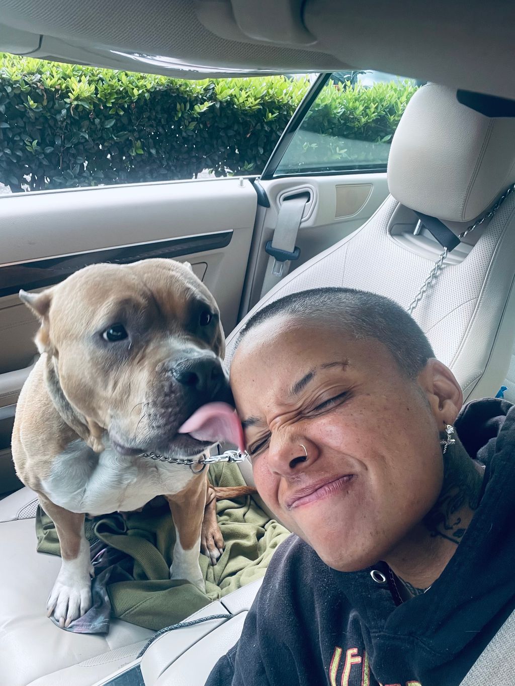 Pet Sitting means lots of kisses 