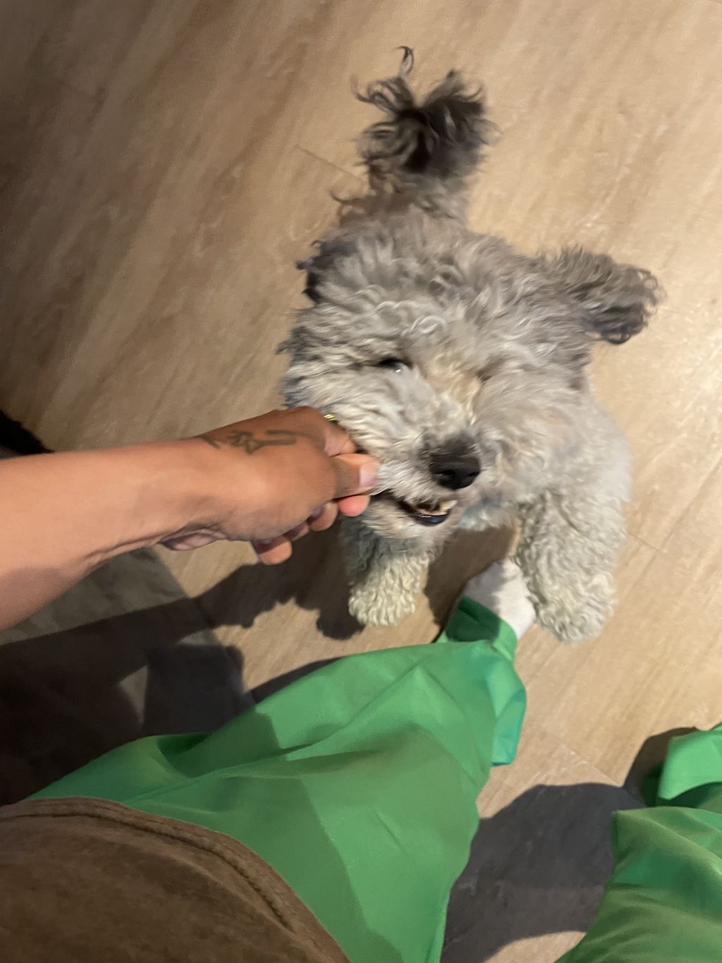 Meet Huey 