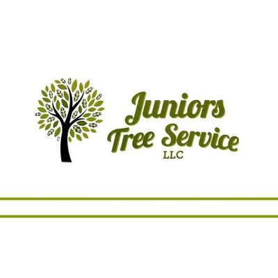Avatar for Junior Tree Service LLC