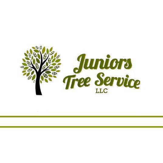 Junior Tree Service LLC