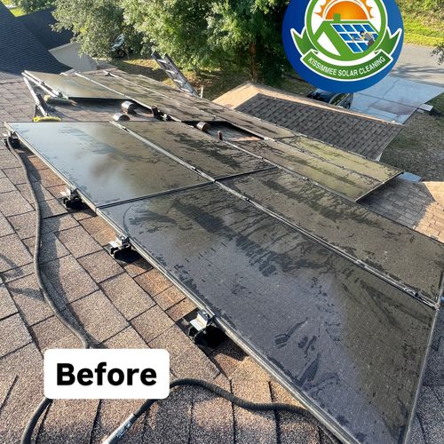 Solar Panel Cleaning