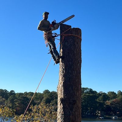 Avatar for Grimes Services