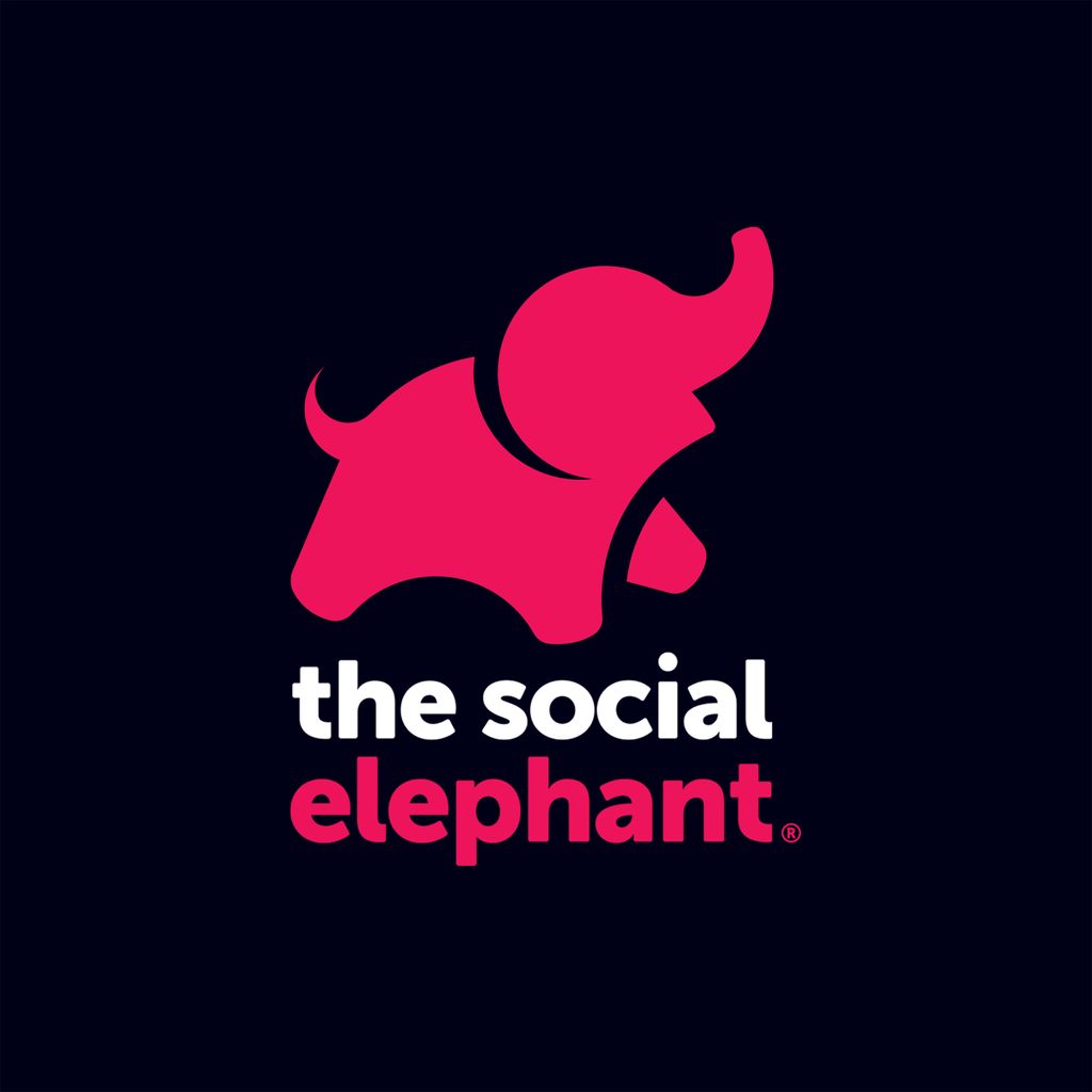 The Social Elephant