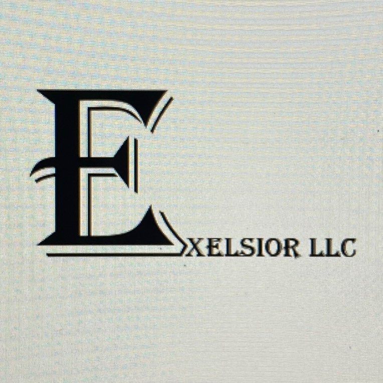 Excelsior mn llc