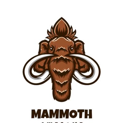 Avatar for Mammoth moving and flooring services