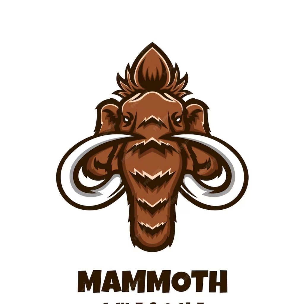 Mammoth moving and flooring services