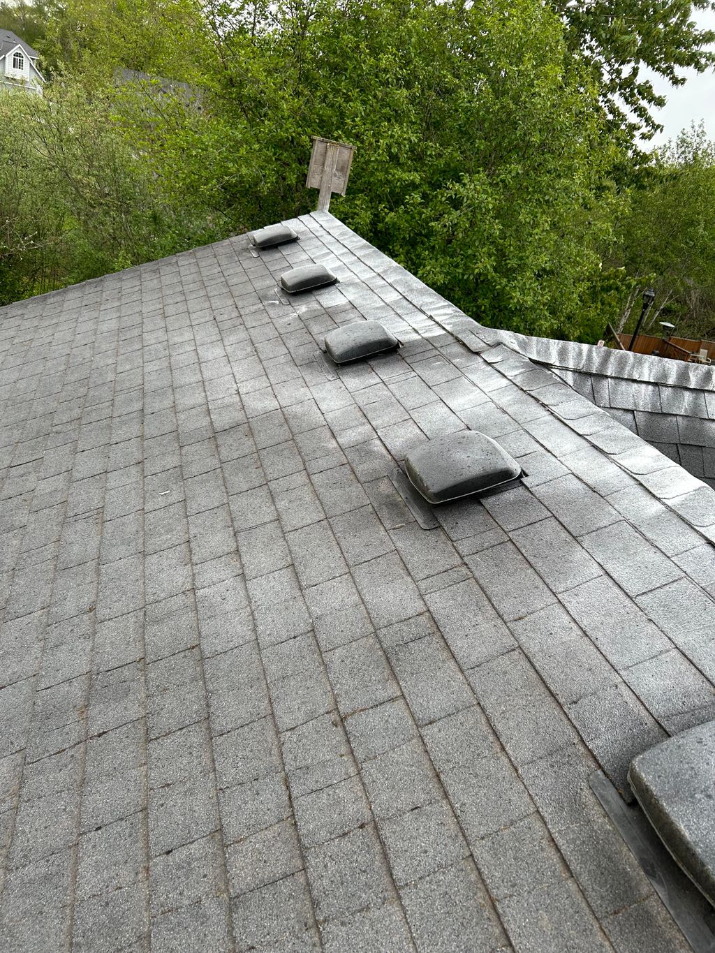 Roof moss treatment 