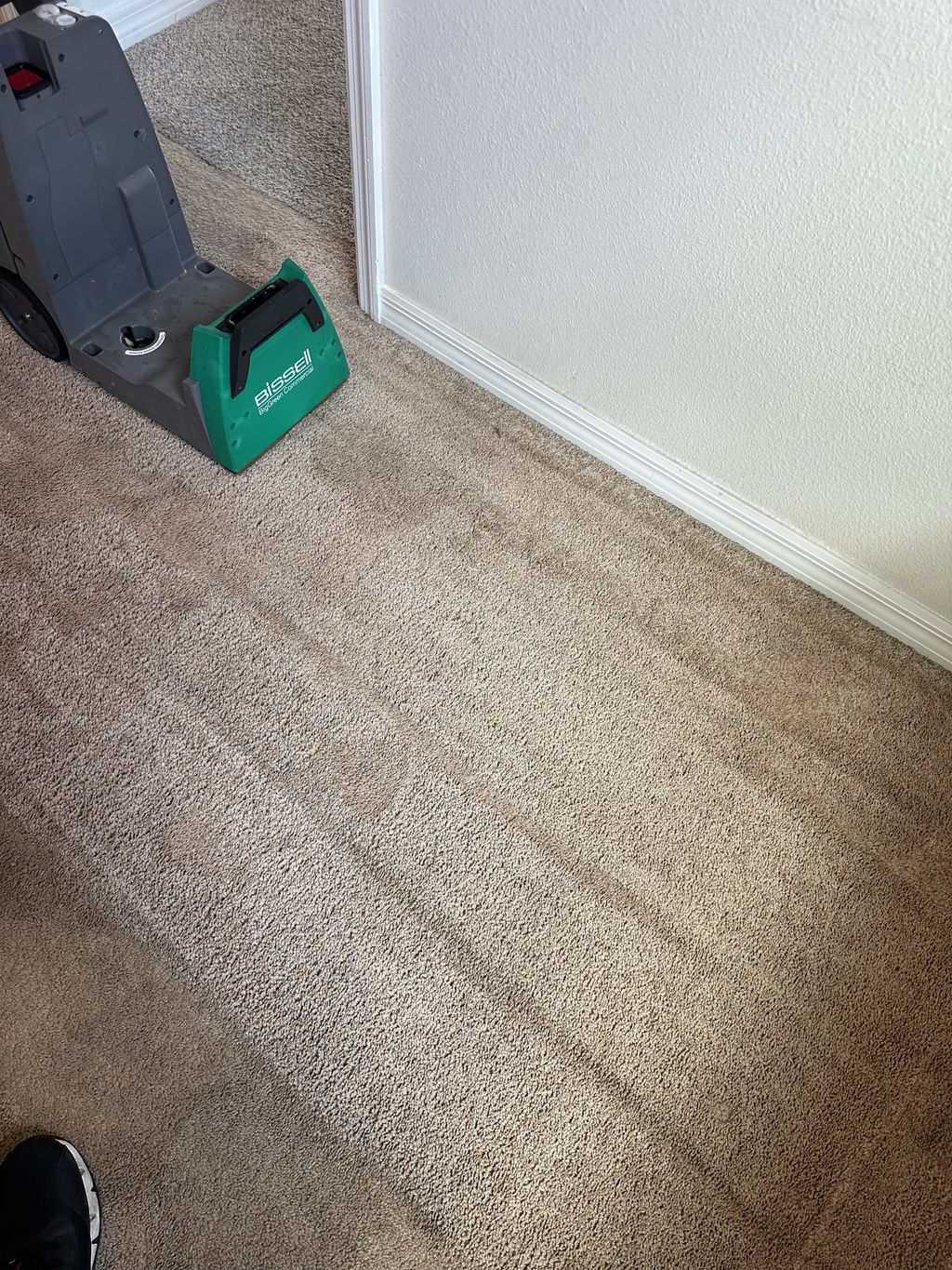 Carpet Cleaning