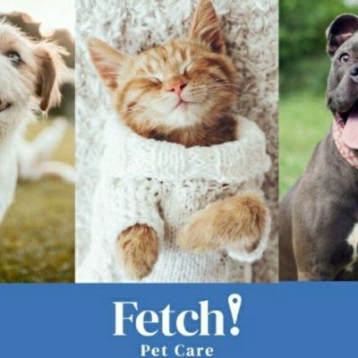 Avatar for Fetch! Pet Care