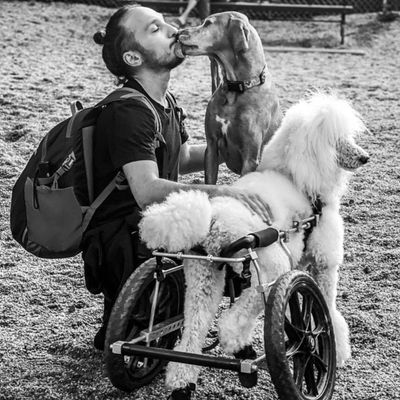 Avatar for Gela Dolaberidze