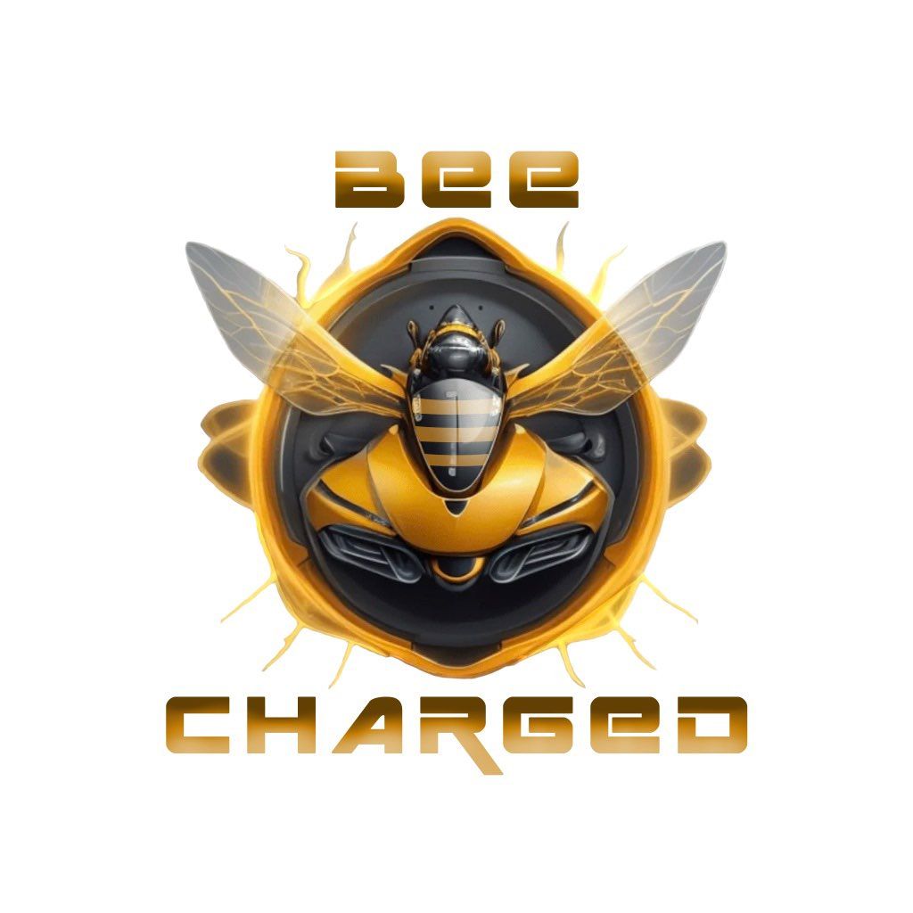BeeCharged Experts