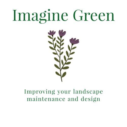 Imagine green