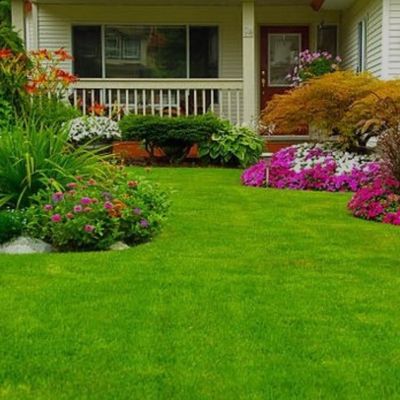 Avatar for Top quality lawn care & maintenance