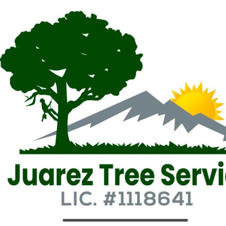 Juarez Tree service and landscaping