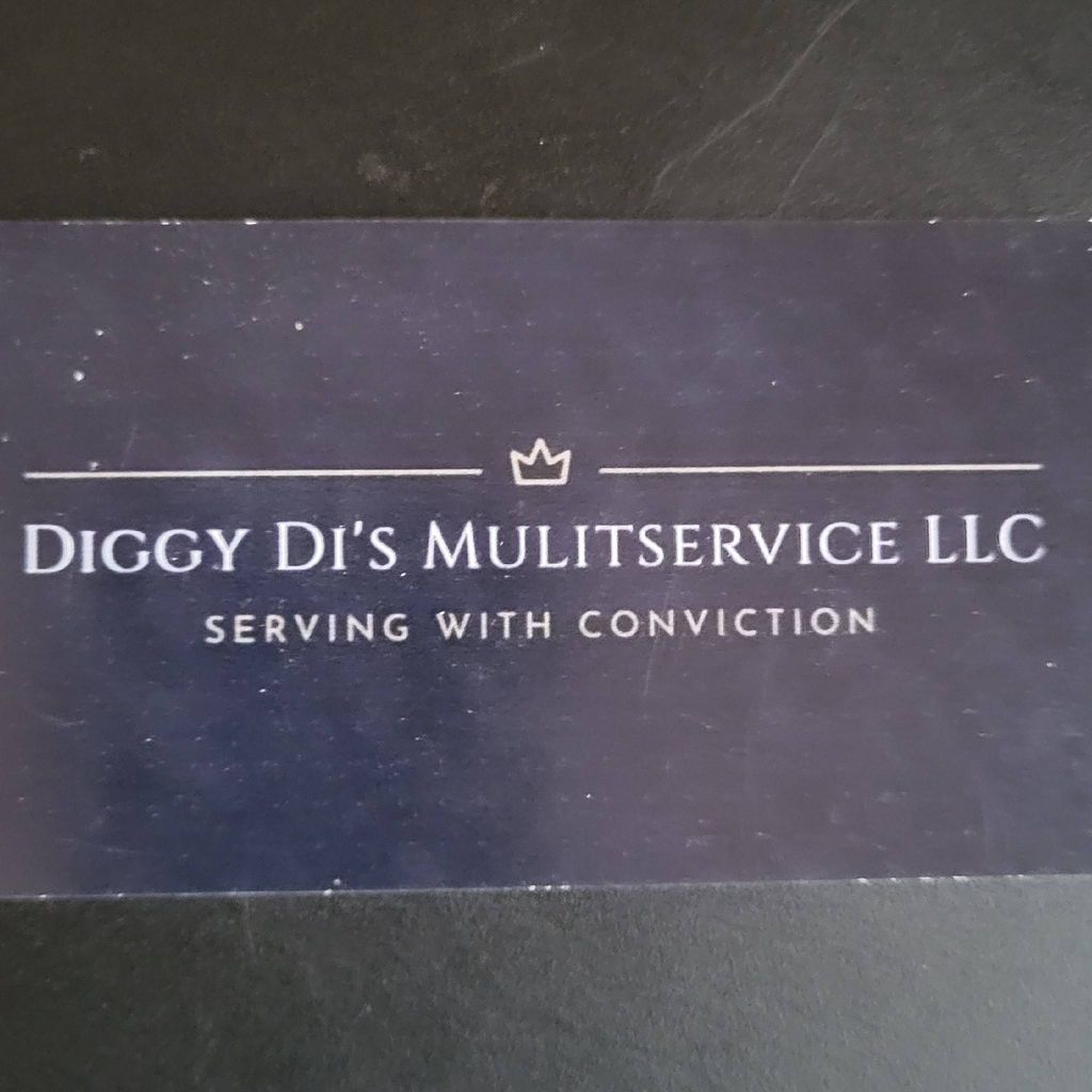 Diggy Di Multiservice LLC