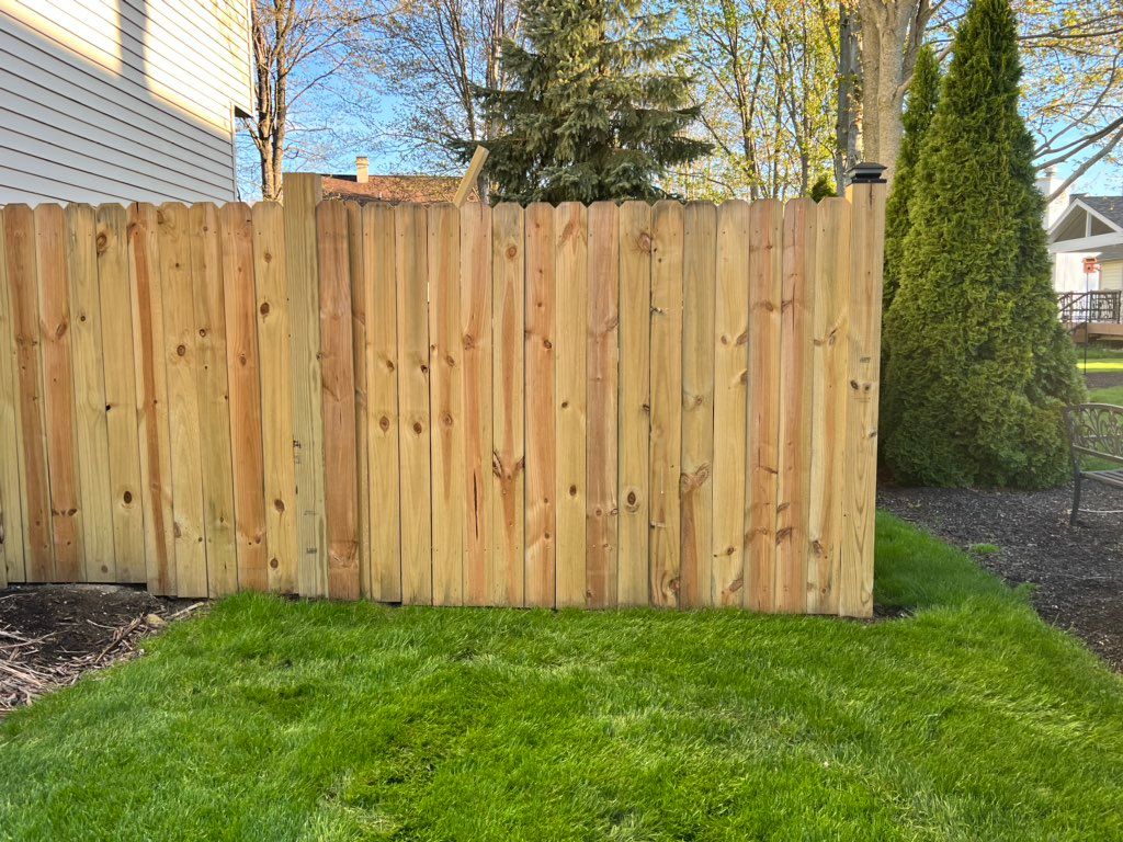 Fence build. 
