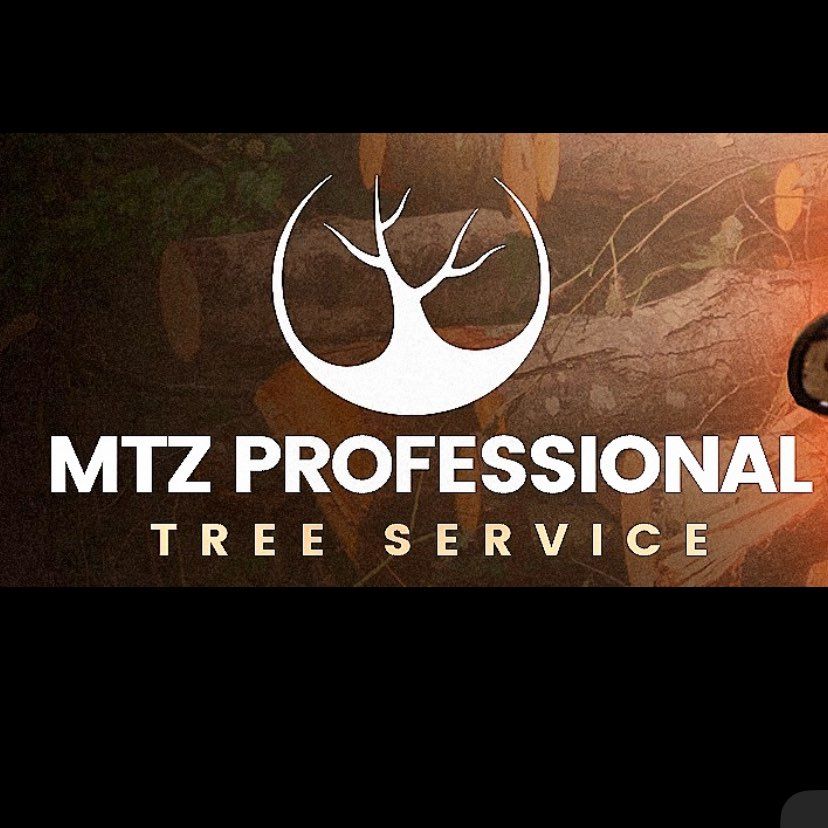 MTZ PROFESSIONAL TREE SERVICE LLC
