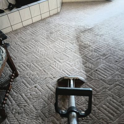 Avatar for Affordable carpet and upholstery cleaning