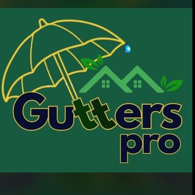Avatar for Gutters Pro