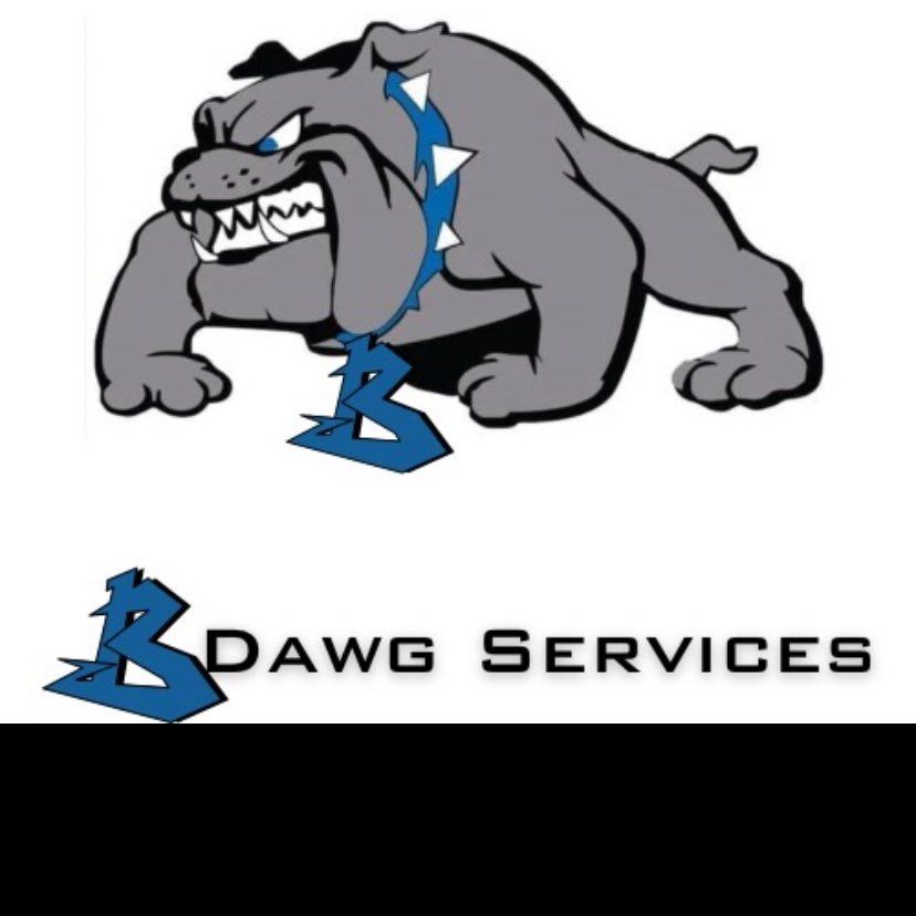Bdawgservices