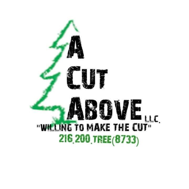 A Cut Above Tree Care