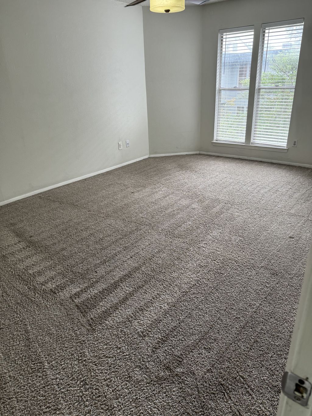 Carpet Cleaning