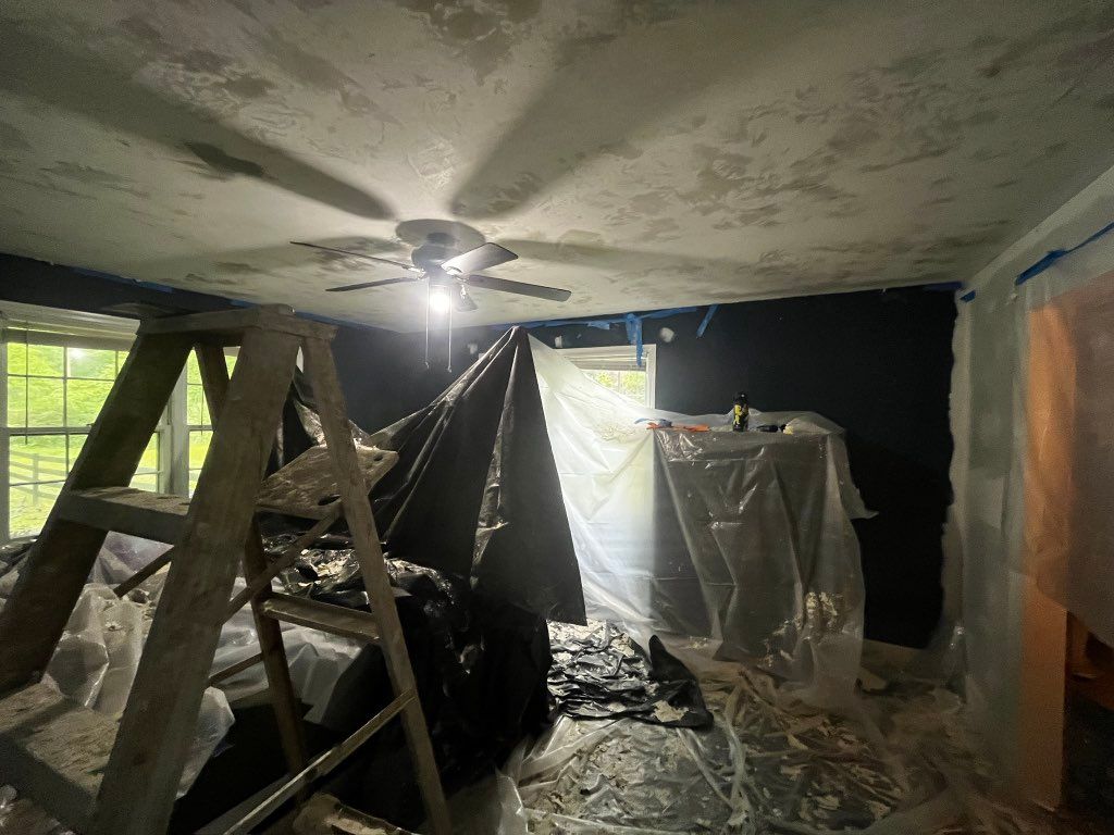 Popcorn ceiling removal: during