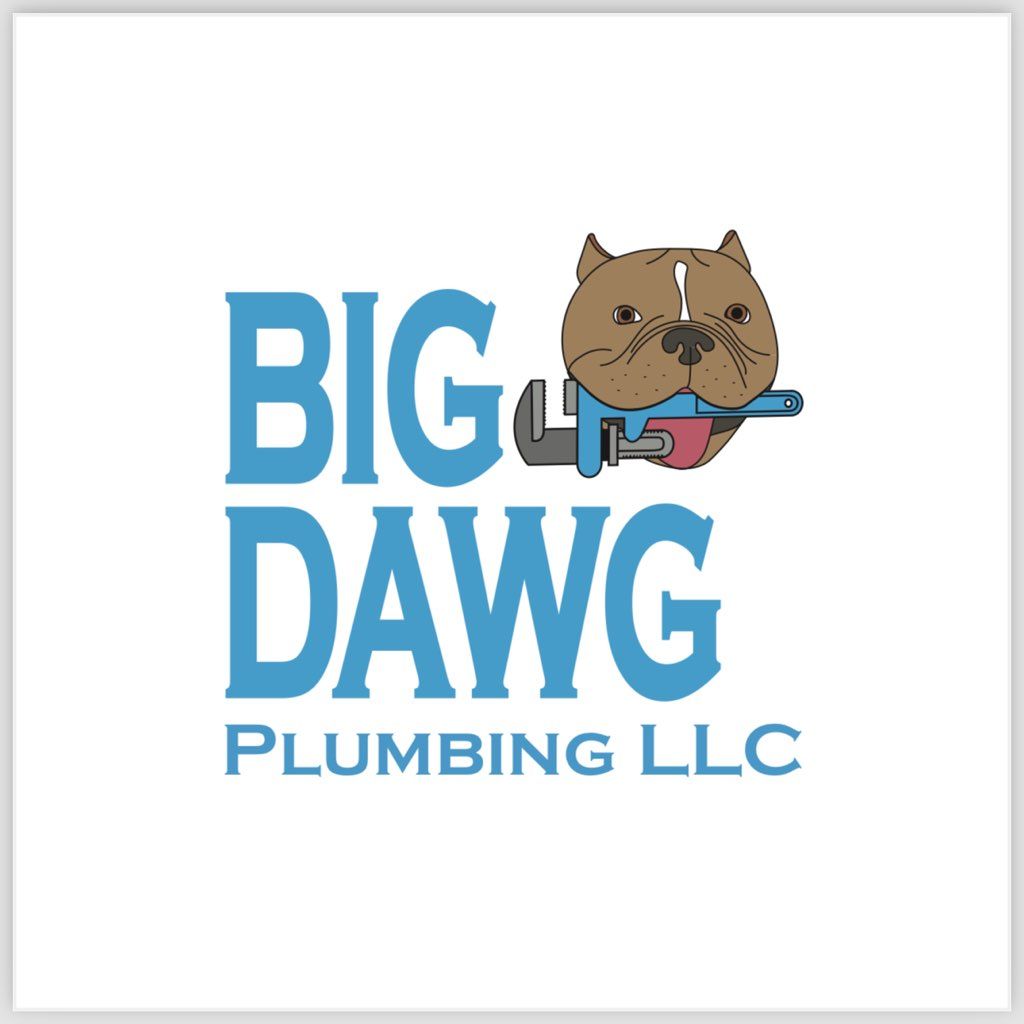 Big Dawg Plumbing