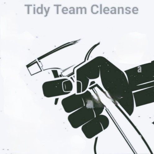 Tidy Team