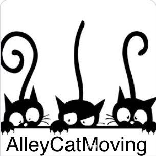 AlleyCatMoving